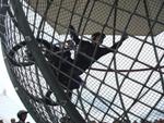 Extrem Globe Riders